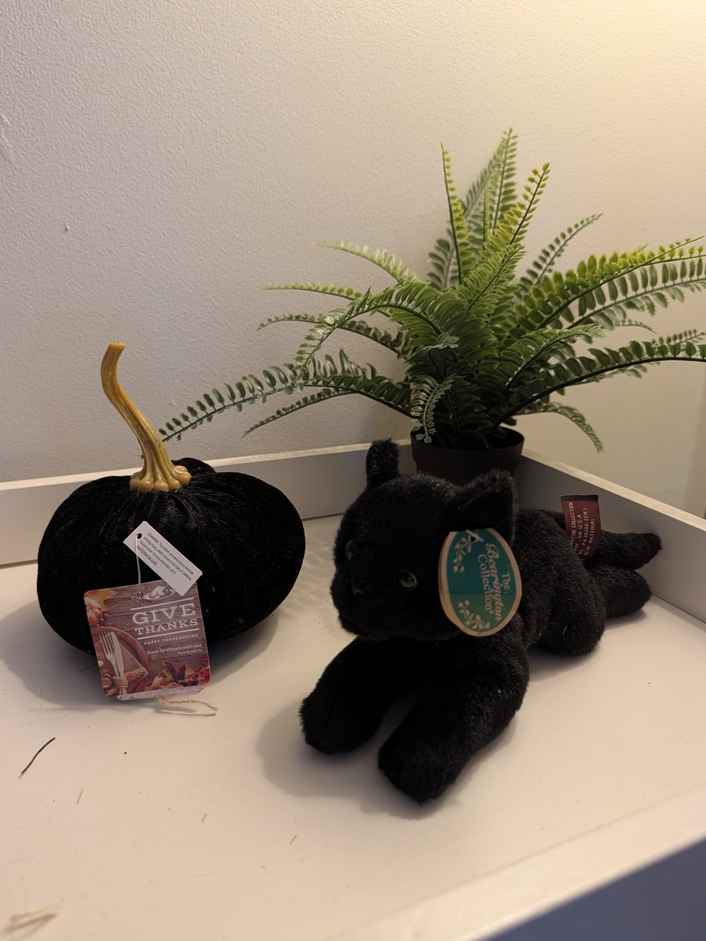 Black Velvet Pumpkin & Plush Black Cat Home Accent Duo